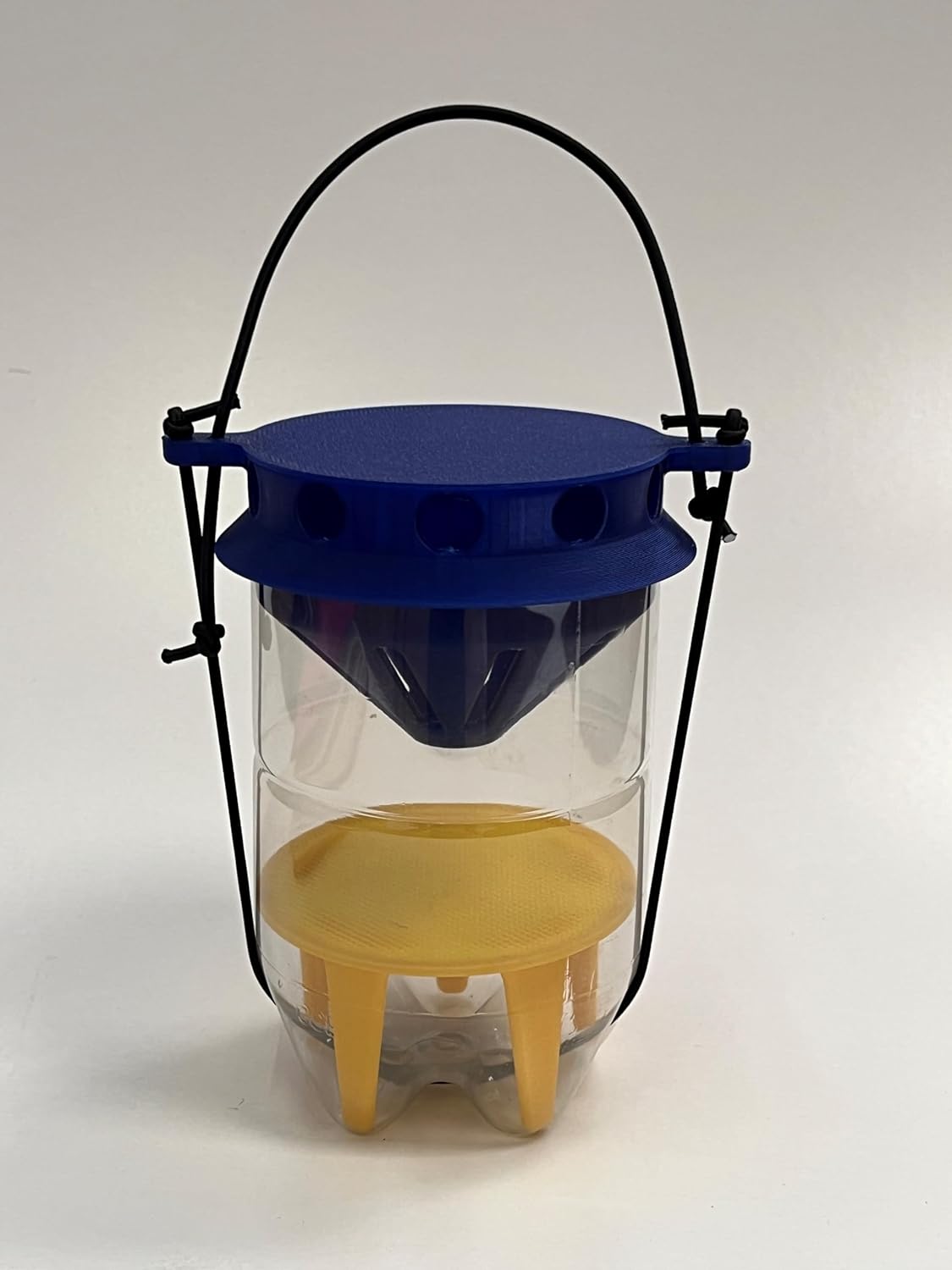 Asian Hornet Live Trap Development Project