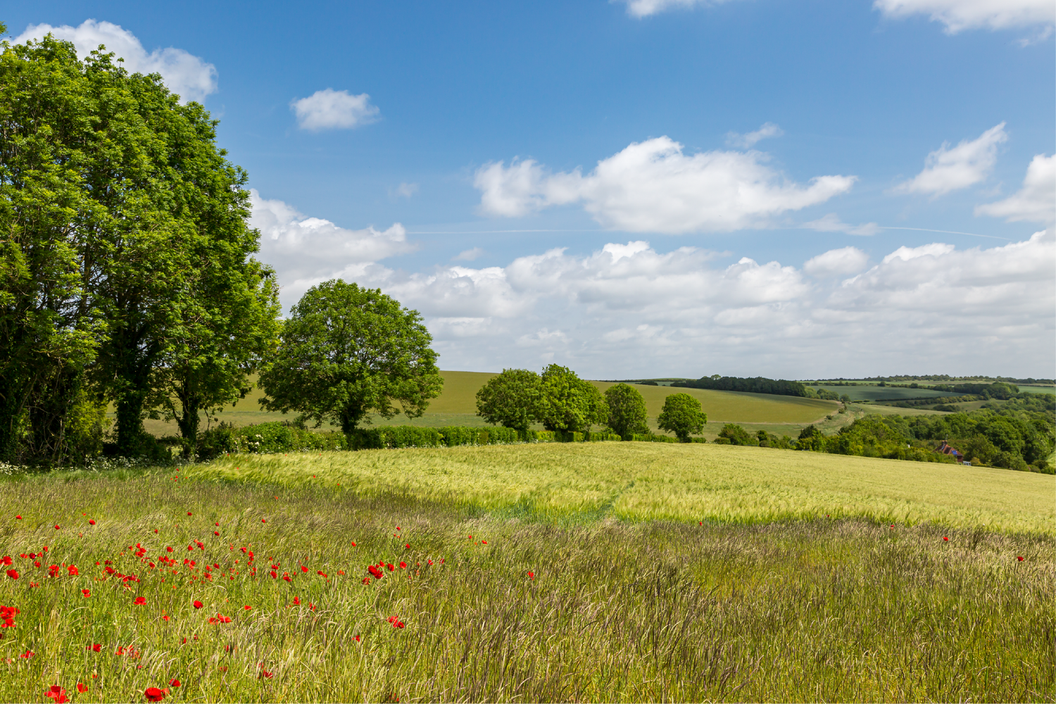 Andermatt moves home