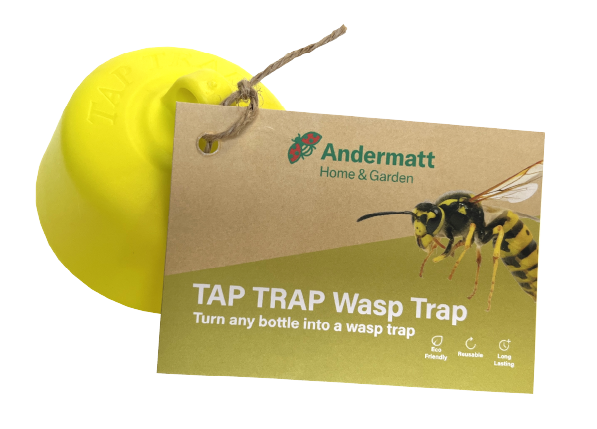 Tap Trap launch