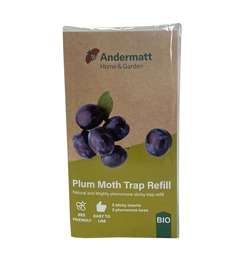 Plum moth trap refill