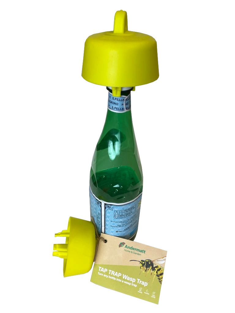 Tap Trap with Wasp Attractant
