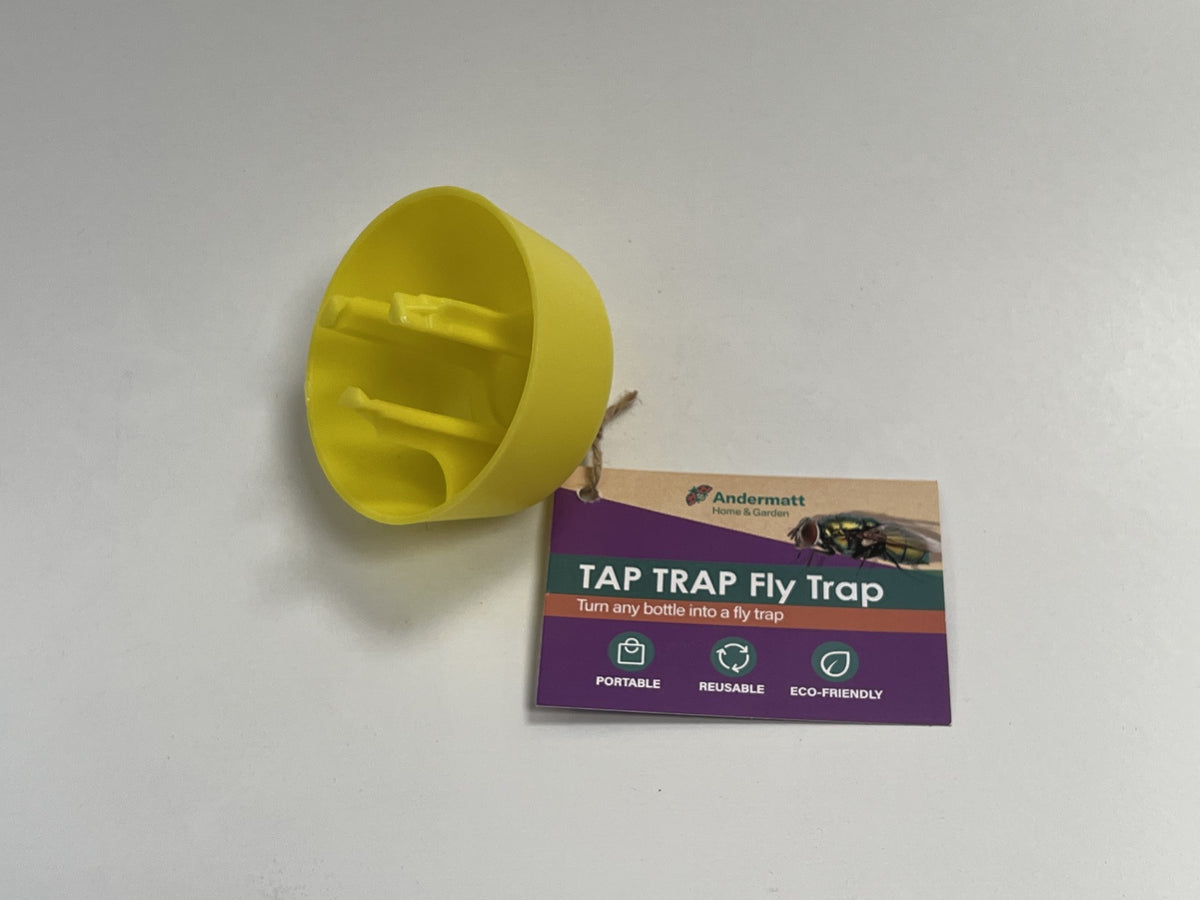 Tap Trap Fly Trap (x3)