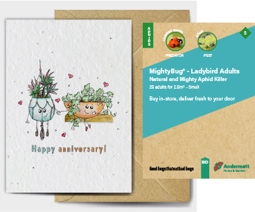 Ladybird Adults Gift Option
