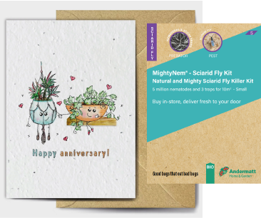 Sciarid Fly Killer Kit Gift Option