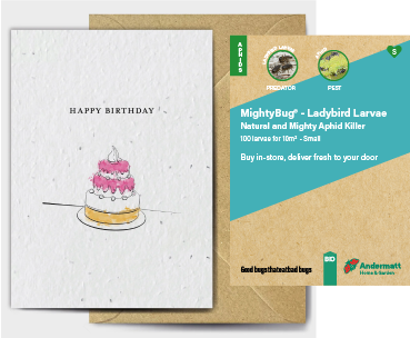 Ladybird Larvae Gift Option