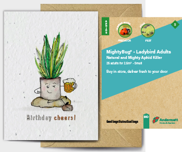 Ladybird Adults Gift Option