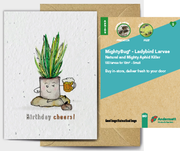 Ladybird Larvae Gift Option
