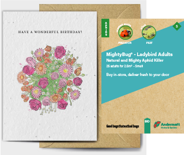 Ladybird Adults Gift Option