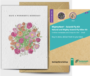 Sciarid Fly Killer Kit Gift Option
