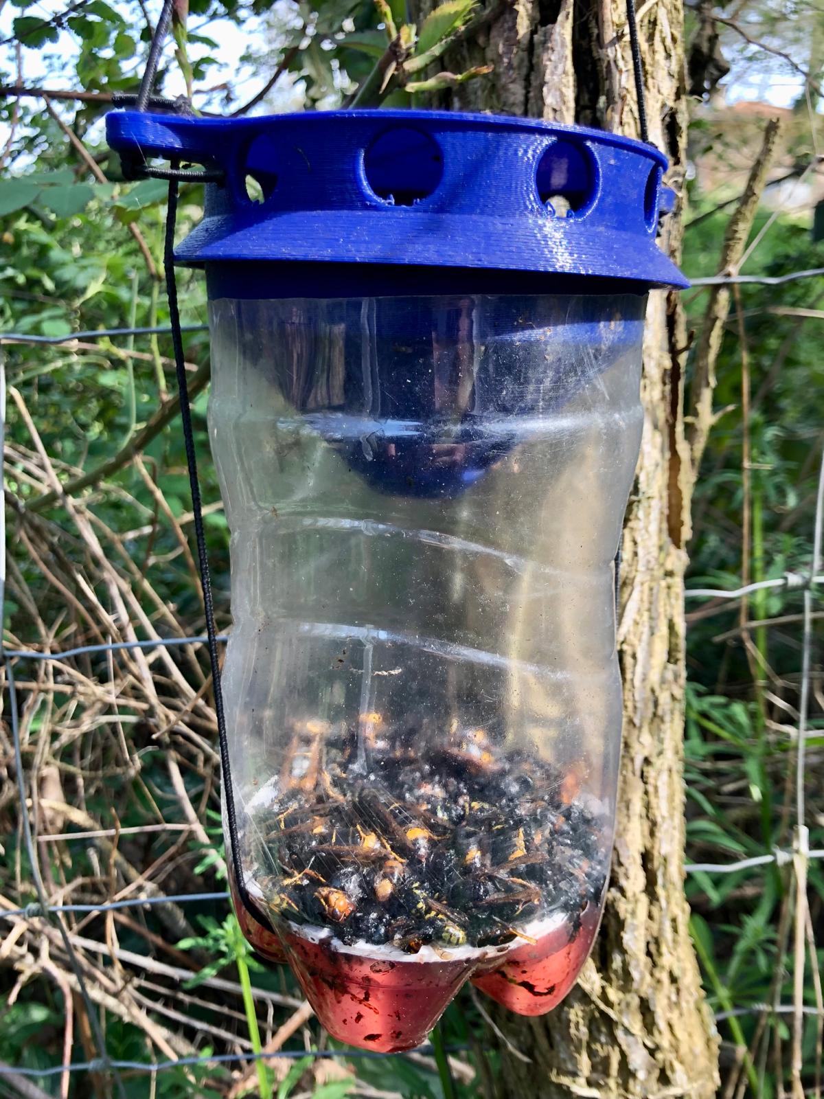 Asian Hornet Trap (Blue/Yellow x1)