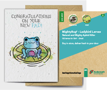 Ladybird Larvae Gift Option