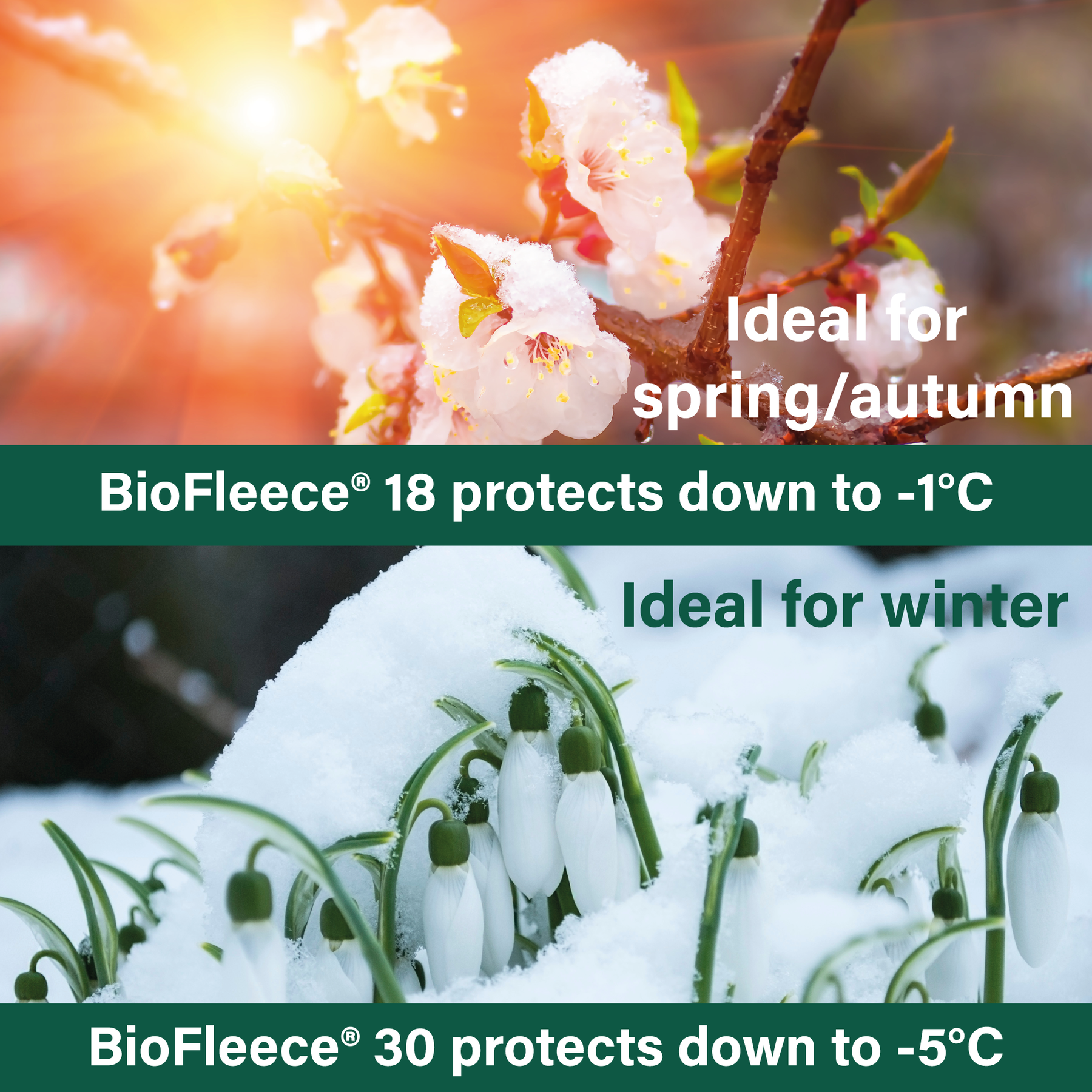 BioFleeceĀ® 30