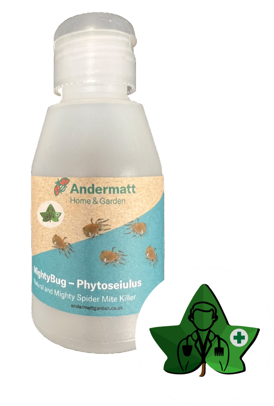MightyBug - Phytoseiulus Spider Mite Killer