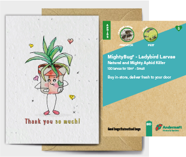 Ladybird Larvae Gift Option
