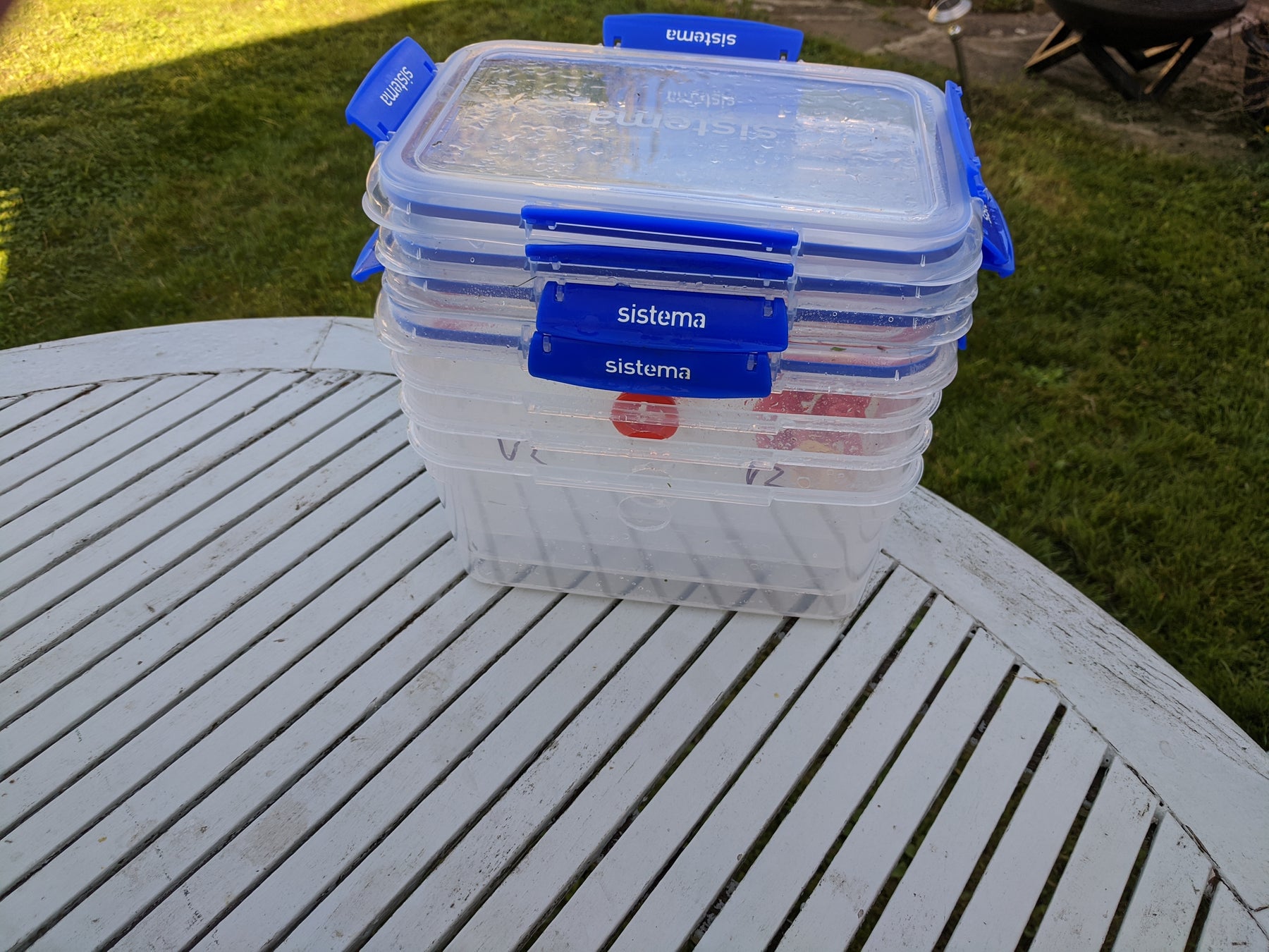 Wasp Trap Ferrules (x4)