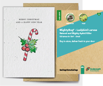 Ladybird Larvae Gift Option