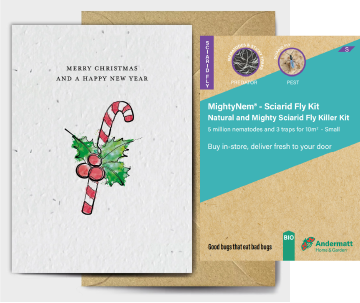 Sciarid Fly Killer Kit Gift Option