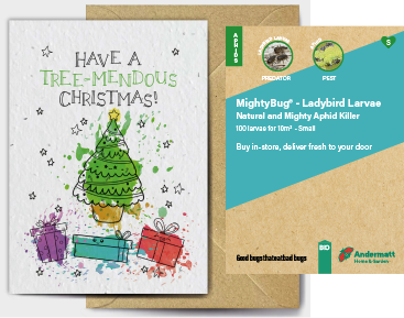 Ladybird Larvae Gift Option