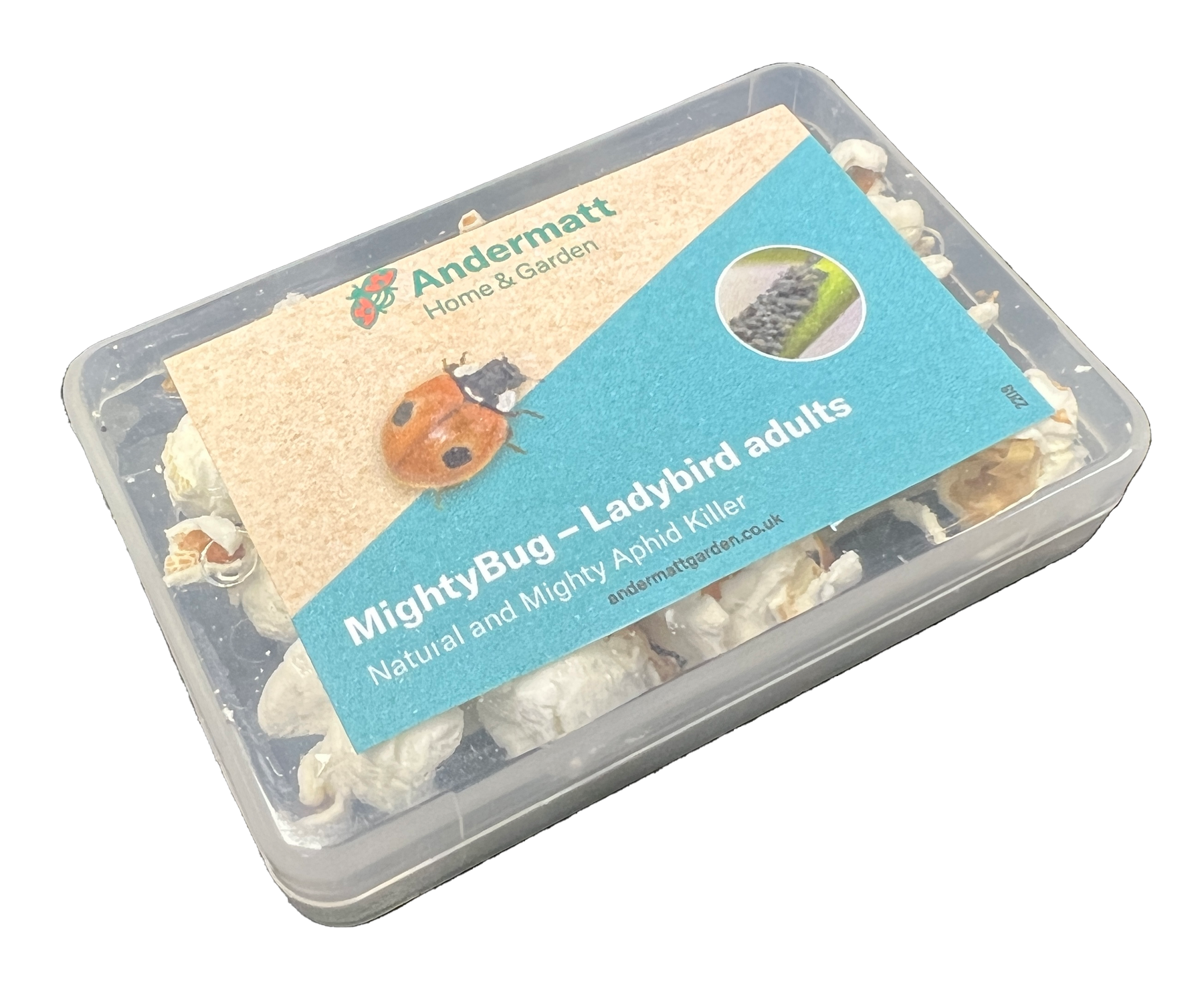 MightyBug - Ladybird Adults