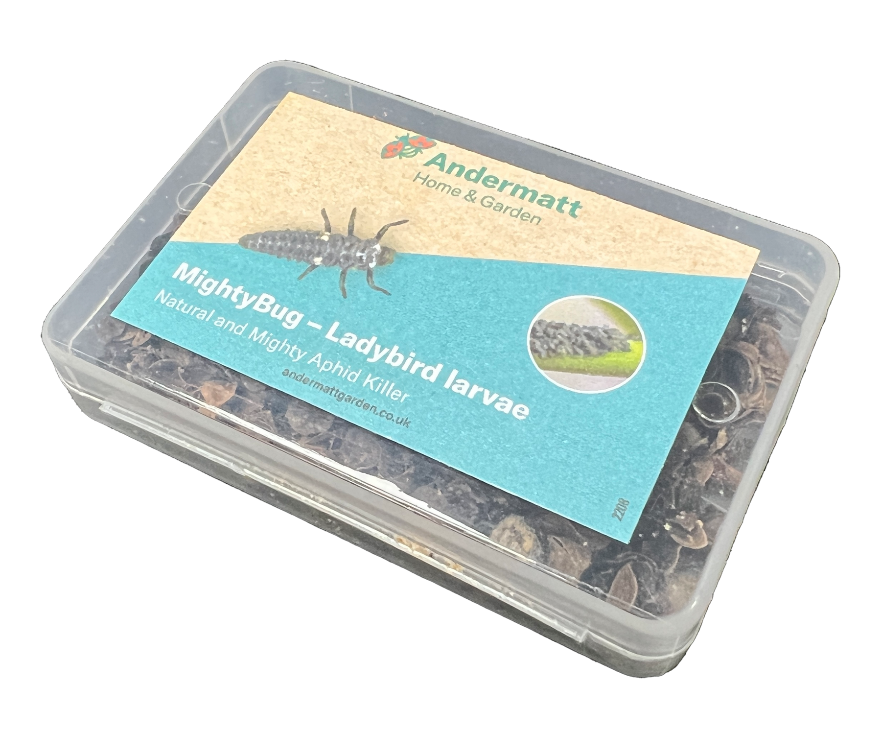 MightyBug - Ladybird Larvae
