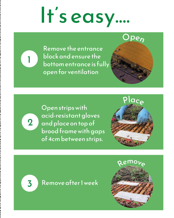 Diagram showing the step-by-step usage of MAQs on beehives.