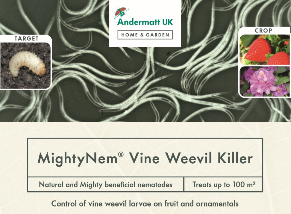 Nemasys Vine Weevil Killer The Natural, Organic Vine Weevil Control