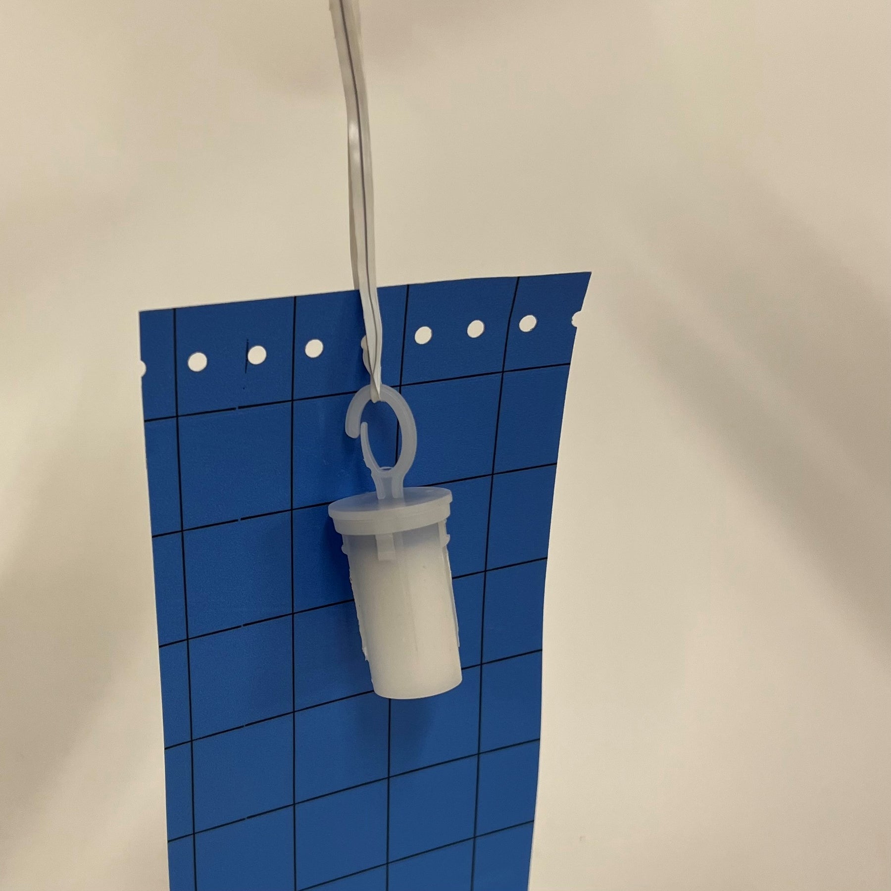 Thrips Trap
