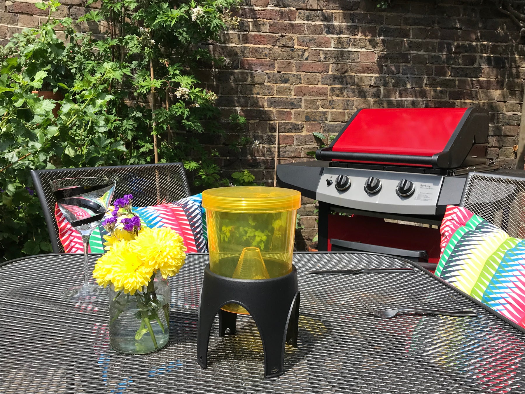 Photo of a wasp trap on a garden table outside.