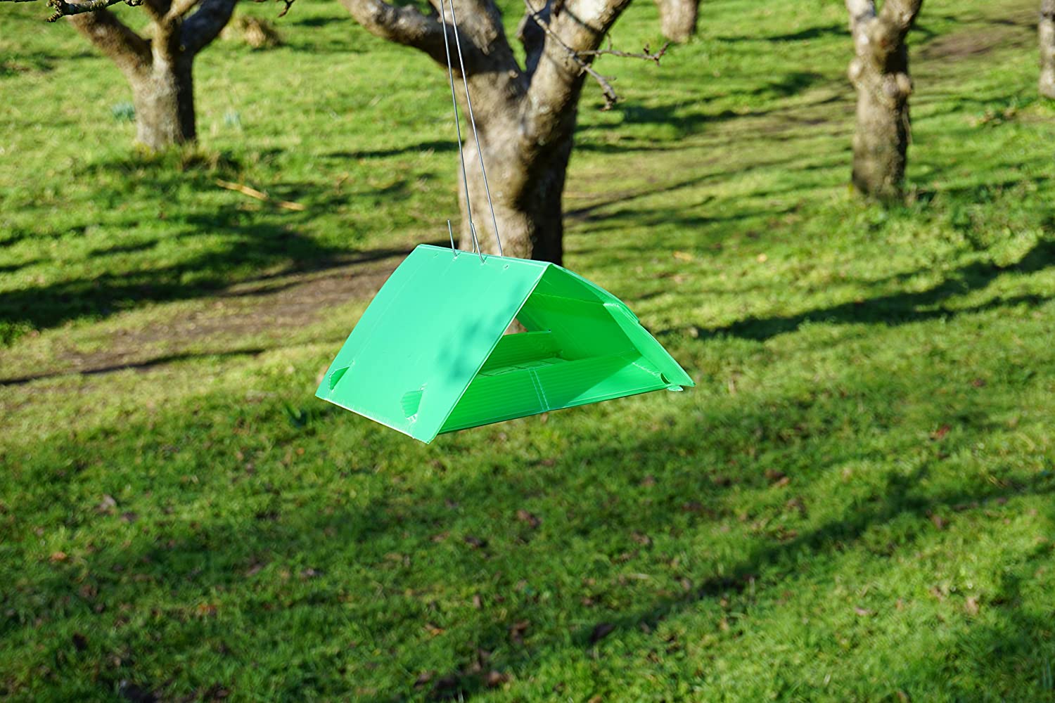 Photo of Plum Moth Trap outside.