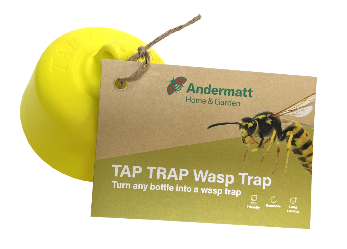Tap Trap Wasp Trap (x3)