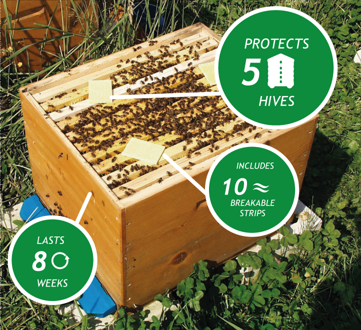 Photo of a beehive with Thymovar applied, with labelled facts included.