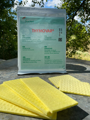 Photo of Thymovar Strips in front of packaging outside.