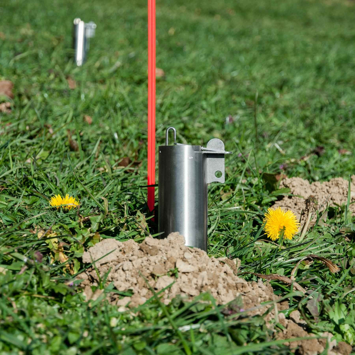Photo of a mole trap planted outside.