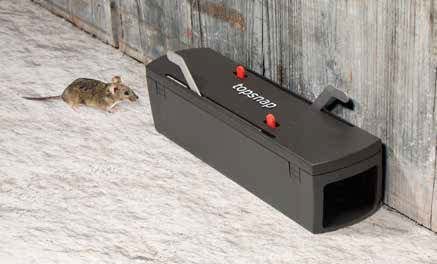 Photo of mouse next to a TopSnap mouse trap.