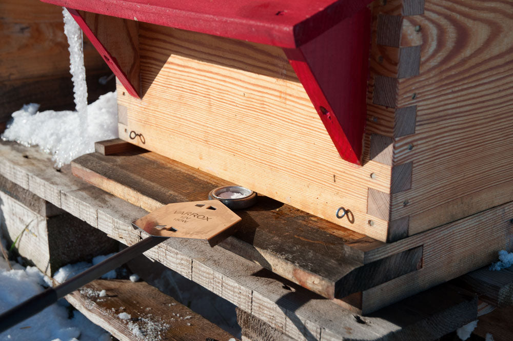 Photo of varrox vaporizer treating a beehive.