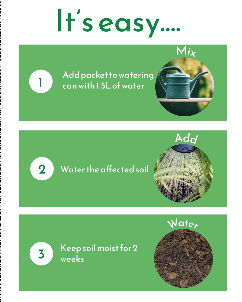 Diagram of step-by-step instructions on how to use the Vine Weevil Killer.