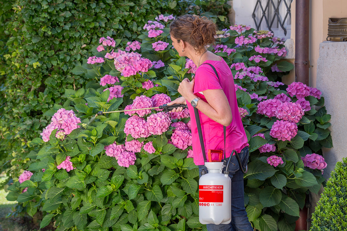 Birchmeier Garden Star 3L