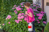 Birchmeier Garden Star 3L
