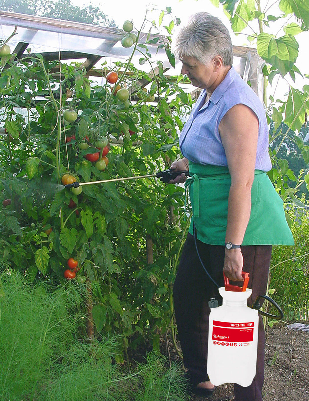 Birchmeier Garden Star 3L
