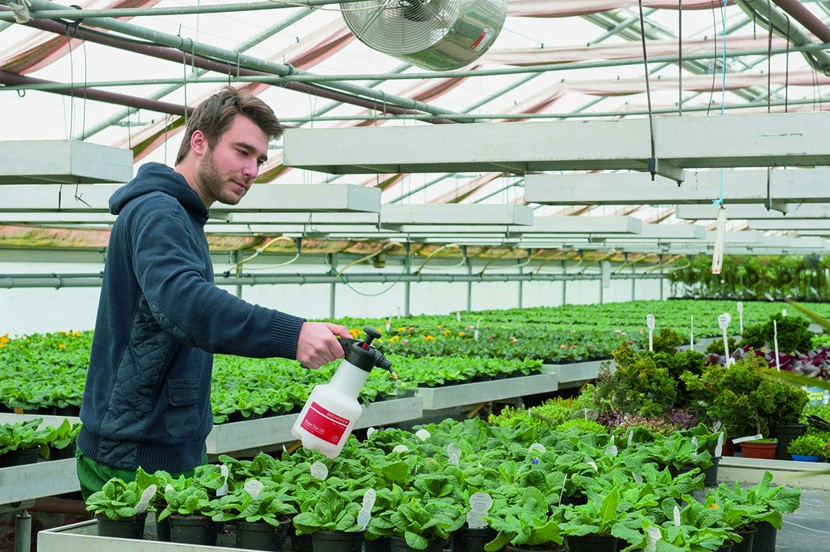 Photo of a man using the Birchmeier Super Star 125 on several potted plants.