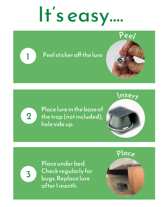 Graphic of step by step usage for bed bug lure.
