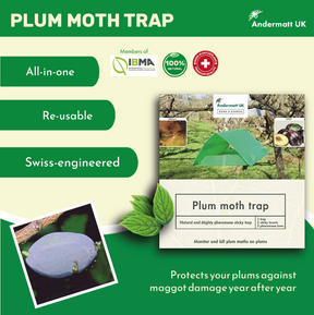 Graphic of Plum Moth Trap information.