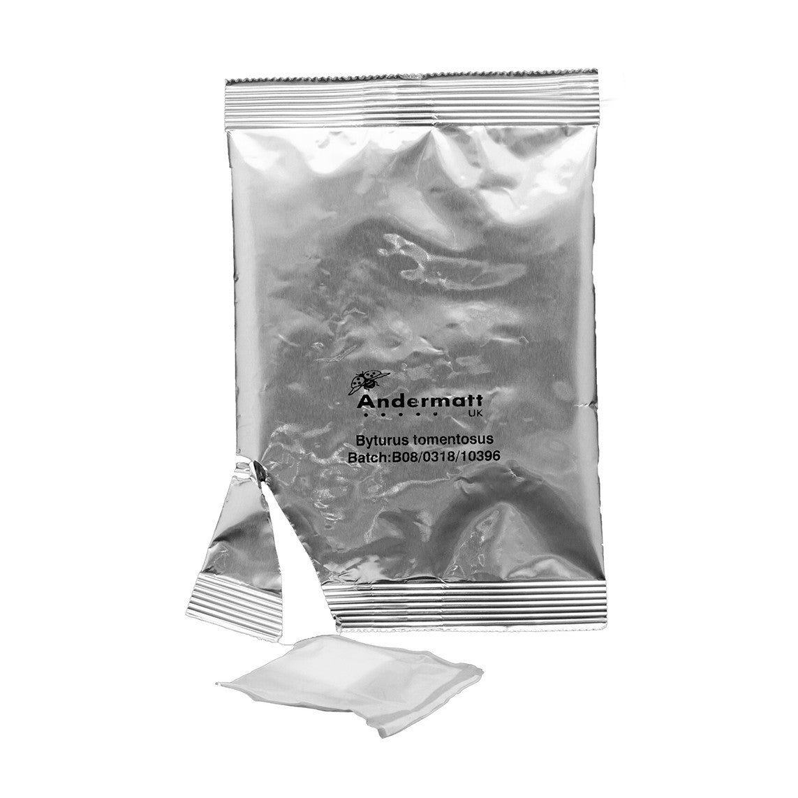 Photo of an opened raspberry beetle trap lure.