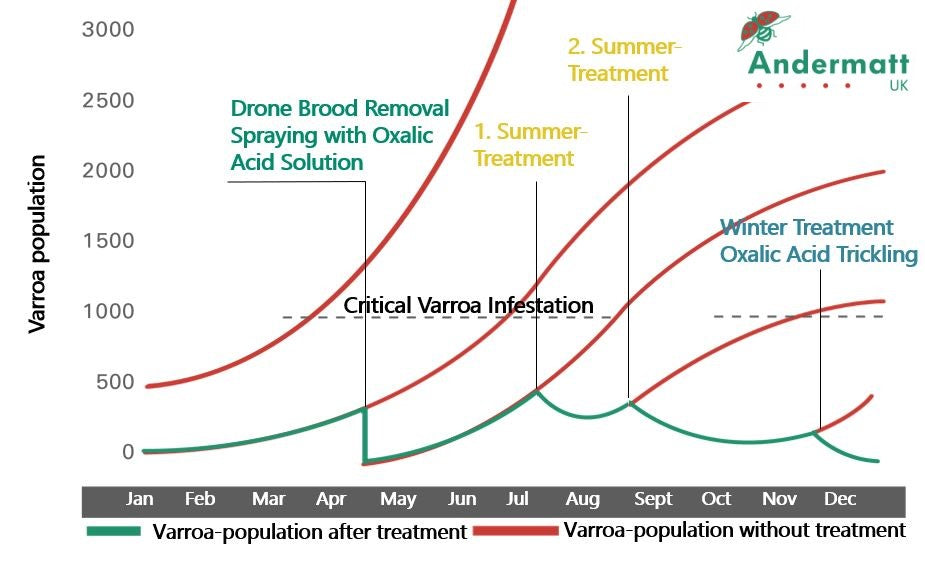 Year round treatment program for Varroa mite