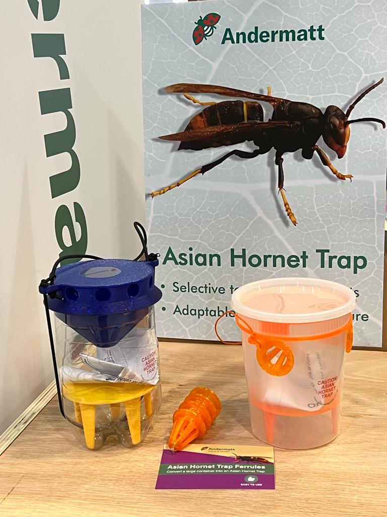 New Asian Hornet Trap Launch