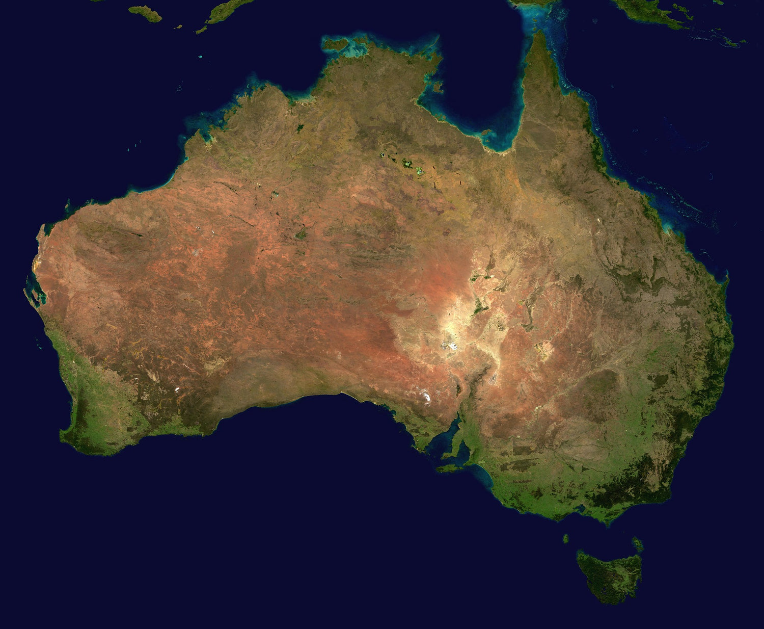 Varroa destructor outbreak in Australia