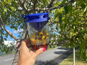 Asian Hornet Trap (Blue/Yellow x1)