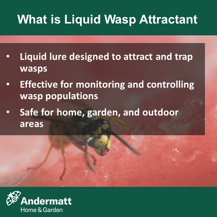 Liquid Wasp Attractant