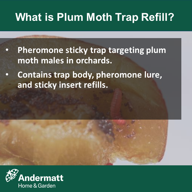 Plum moth trap refill