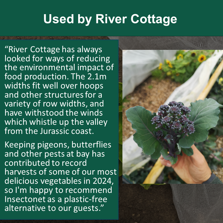 InsectoNet plastic-free insect net
